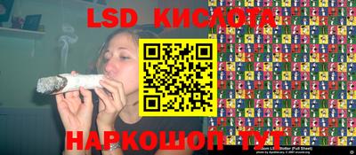 прущие крисы Бердск